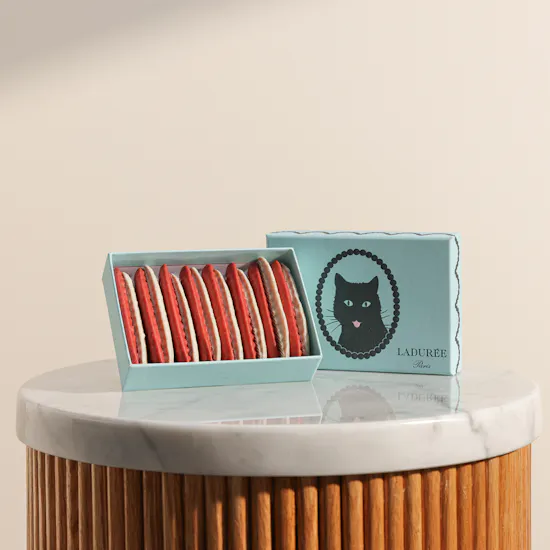 Ladurèe Vanilla Strawberry Biscuits Box