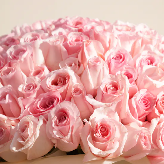 Pink Rose Bouquet | 250 Flowers