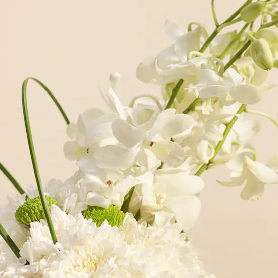 White Elegance Flowers Vase