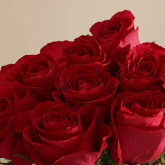 صندوق زهور سحر البدايات