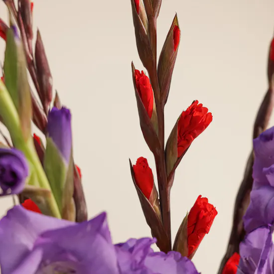 Royal Scarlet Flower Vase