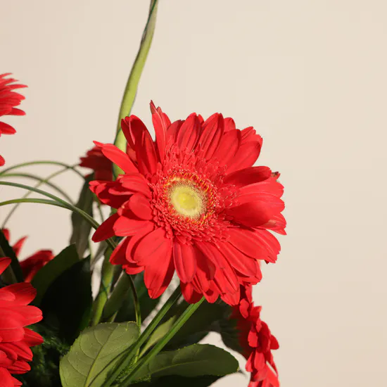 Natural Red Gerbera Vase