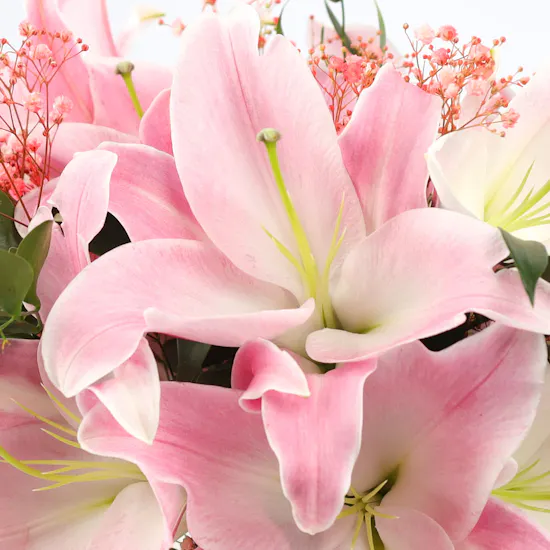Pretty Lilies Vase