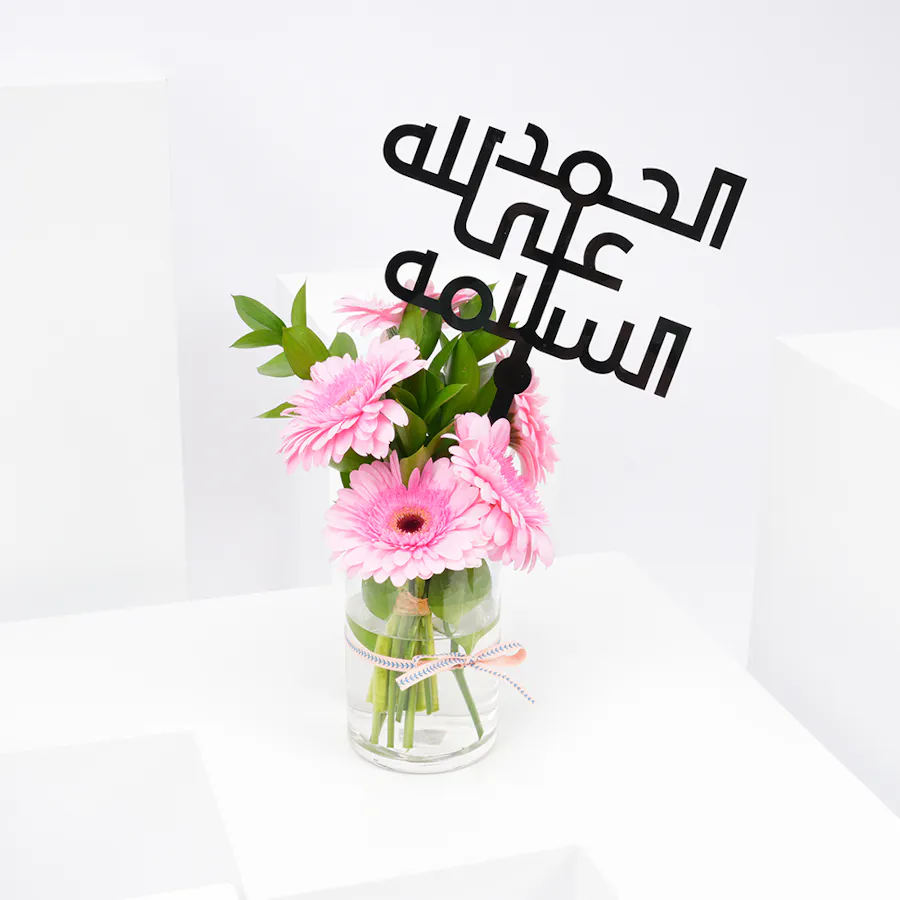 Get Well Soon | Pink Gerbera 4