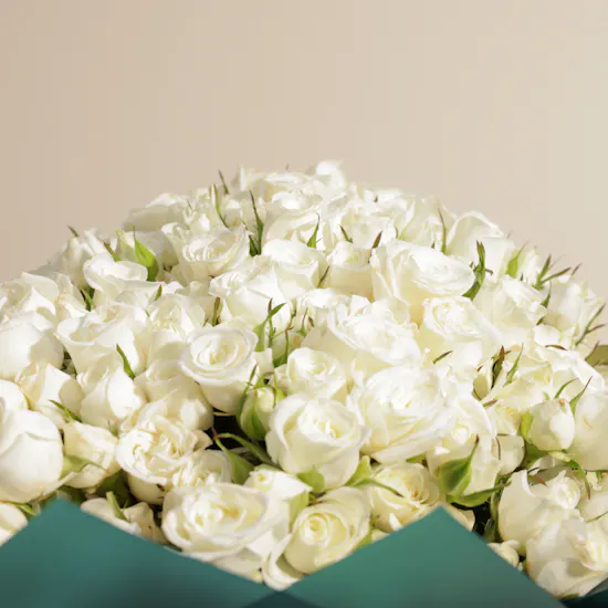 Huge White Baby Rose Bouquet | 100 Flowers