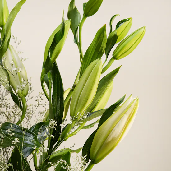 Pearlescent Lily Vase