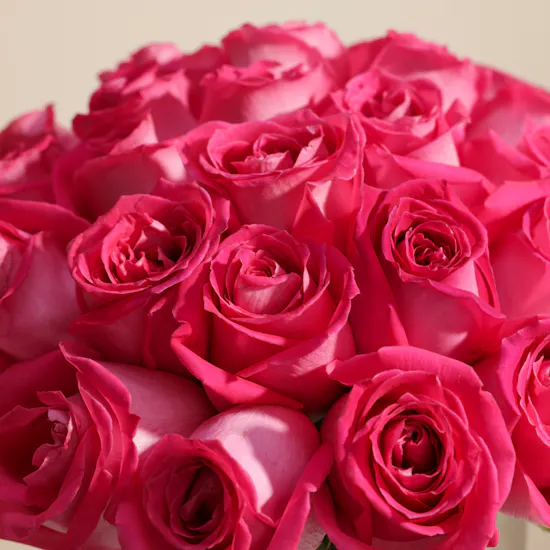 Fuchsia Charm Vase | 35 Roses