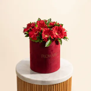 Romantic Red Gerbera Box Romantic Red Gerbera Box