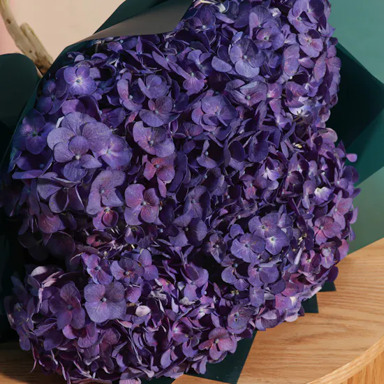 Hydrangea Whisper Bouquet