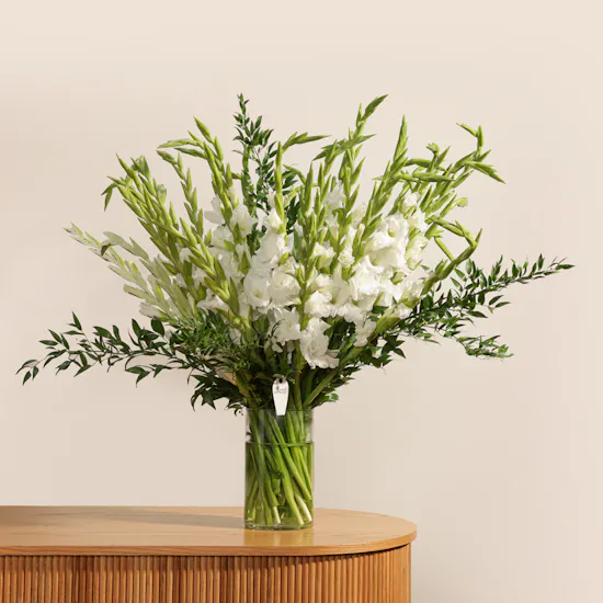 White Gladiolus | Glass Vase