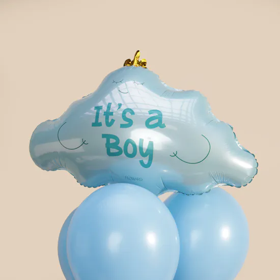 Little Prince Welcome Gift Set