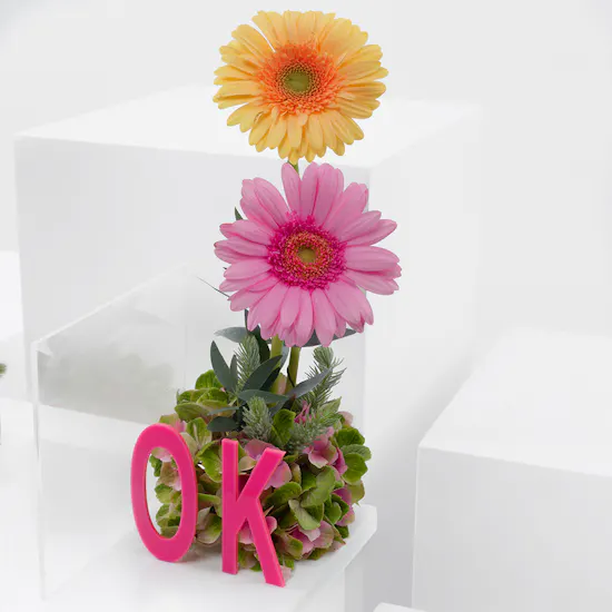 Pink Acrylic Books Holder | Flowers