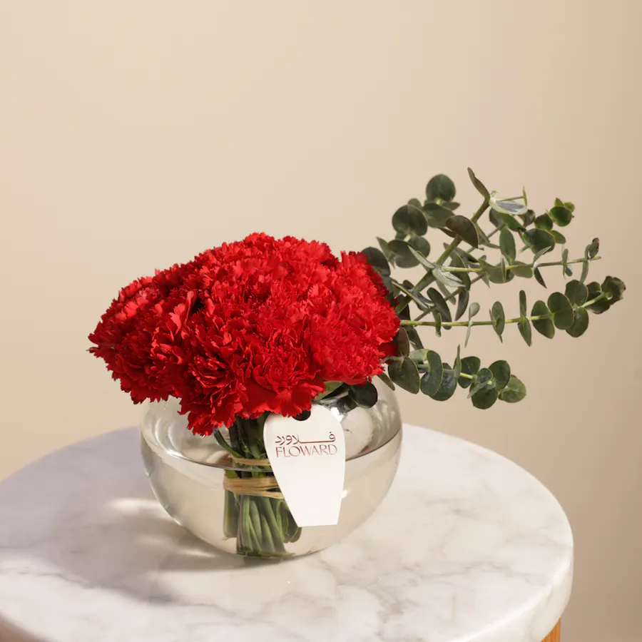 Red Carnation Vase 1