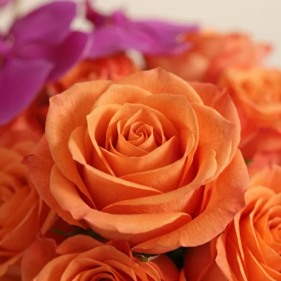 Golden New Beginnings Flower Box | 30 Flowers