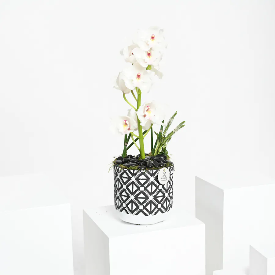 Unique Cymbidium | Vase 4