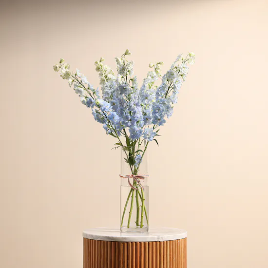 Blue Dreams Delphinium Vase