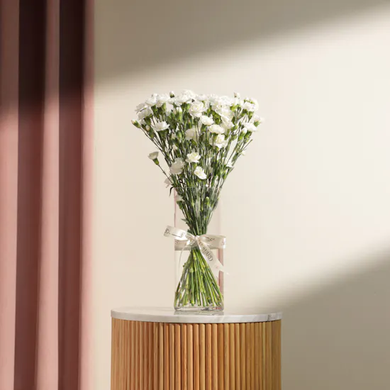 Pure White Baby Carnation Vase