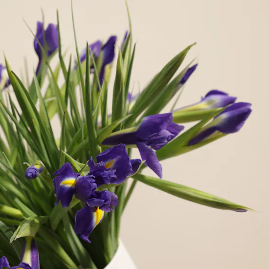 Blue Iris Petal Whisper Vase