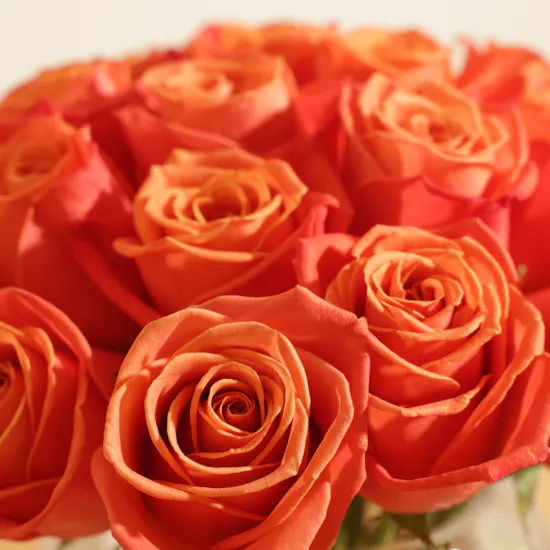 Trio Colors of Joy Flower Vase