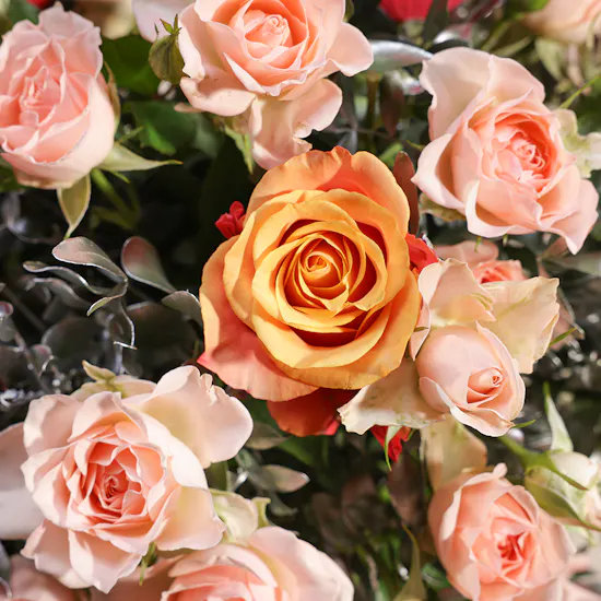 Cheerful Birthday Blooms