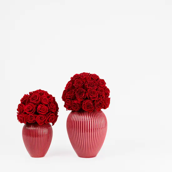 Preserved Roses Trio