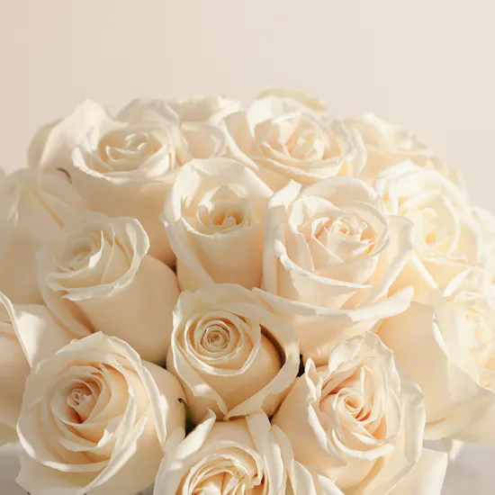 Abdul Samad Al Qurashi Crassna Sioufi Agarwood Set | Serene White Roses Vase