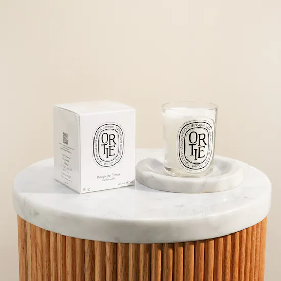 Diptyque Ortie Classic Candle | 190 g