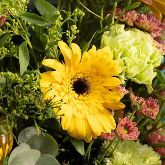 Soft Radiance Flowers Bouquet