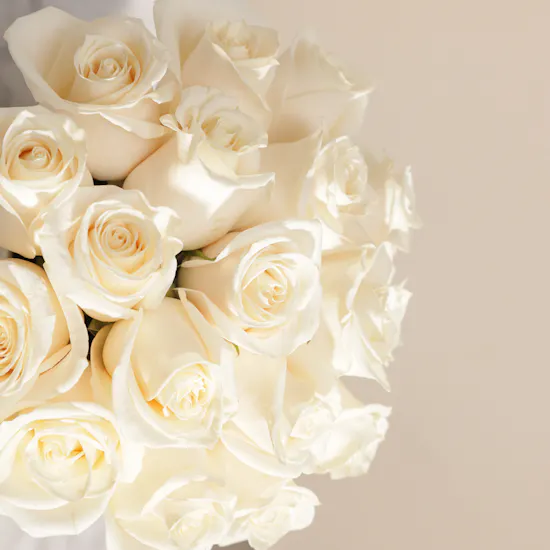 Dreamy White Rose Box | 15 Flowers
