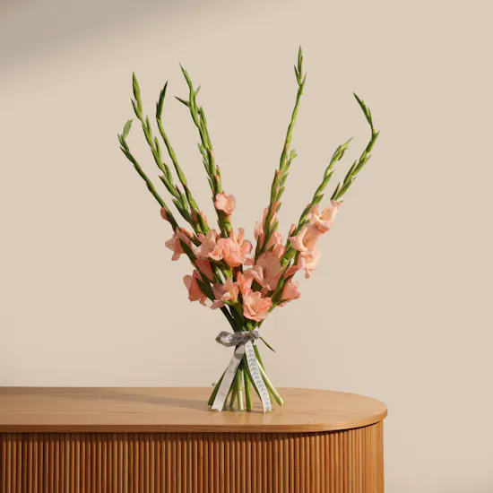 Sugar Babe Gladiolus Bouquet