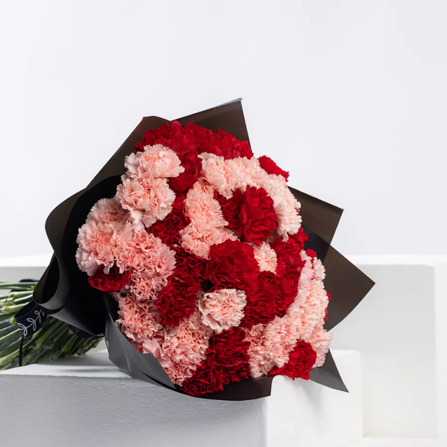 Elegant Beauty | Carnations Bouquet 3