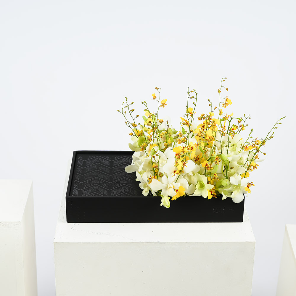 القرآن الكريم | أوركيد ابيض