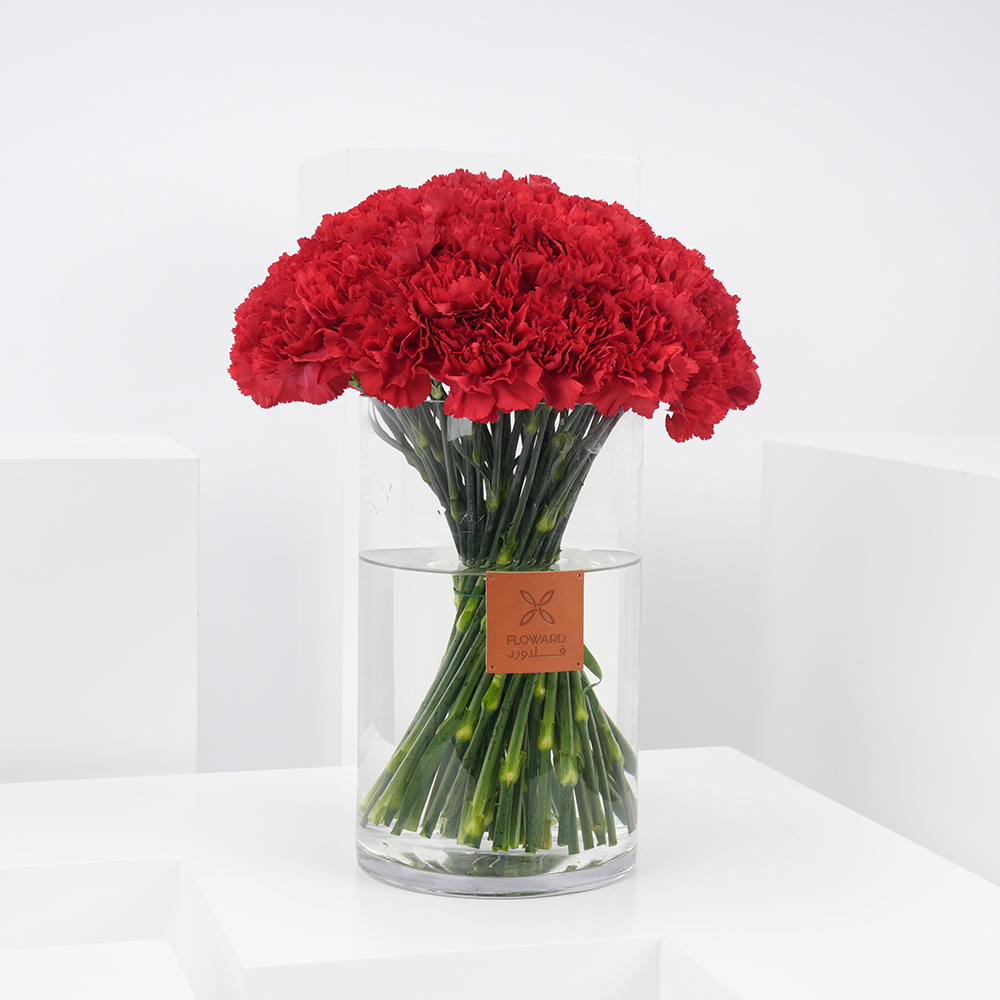 كارنيشن أحمر| مزهرية اسطوانية