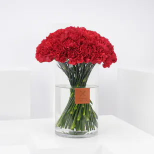 Red Carnations | Cylinder Vase Red Carnations | Cylinder Vase