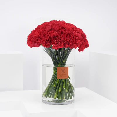 كارنيشن أحمر| مزهرية اسطوانية كارنيشن أحمر| مزهرية اسطوانية
