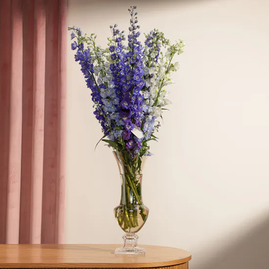Charming Delphinium Luxery Vase