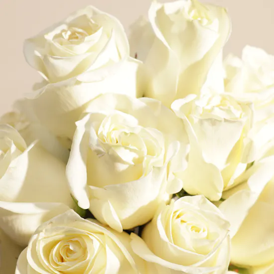 Golden Glow White Rose Vase