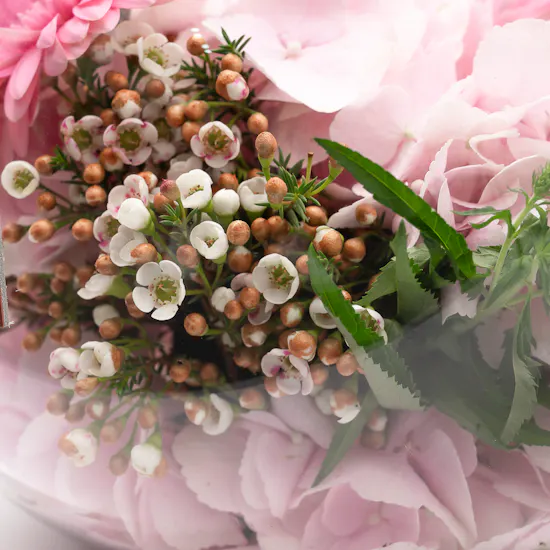 Delightful Spring | Glass Vase
