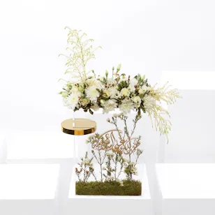 Get Well Soon White Flowers