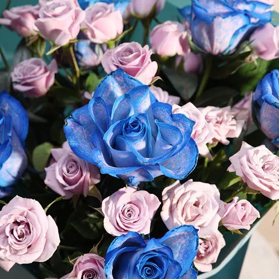Roberto Cavalli Writing Pen | Bright Flowers