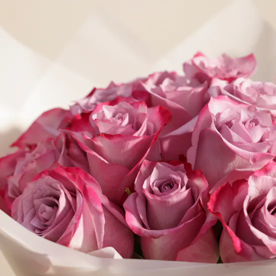 Purple Radiance Bouquet | 25 Roses