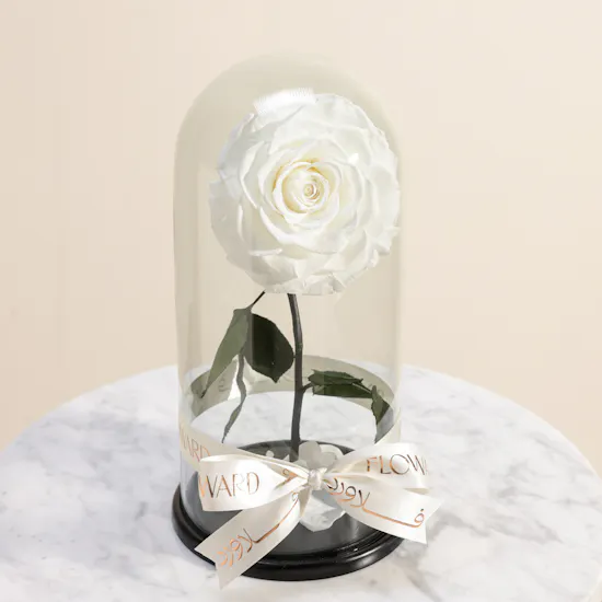 Charming Preserved White Rose | Glass Dome