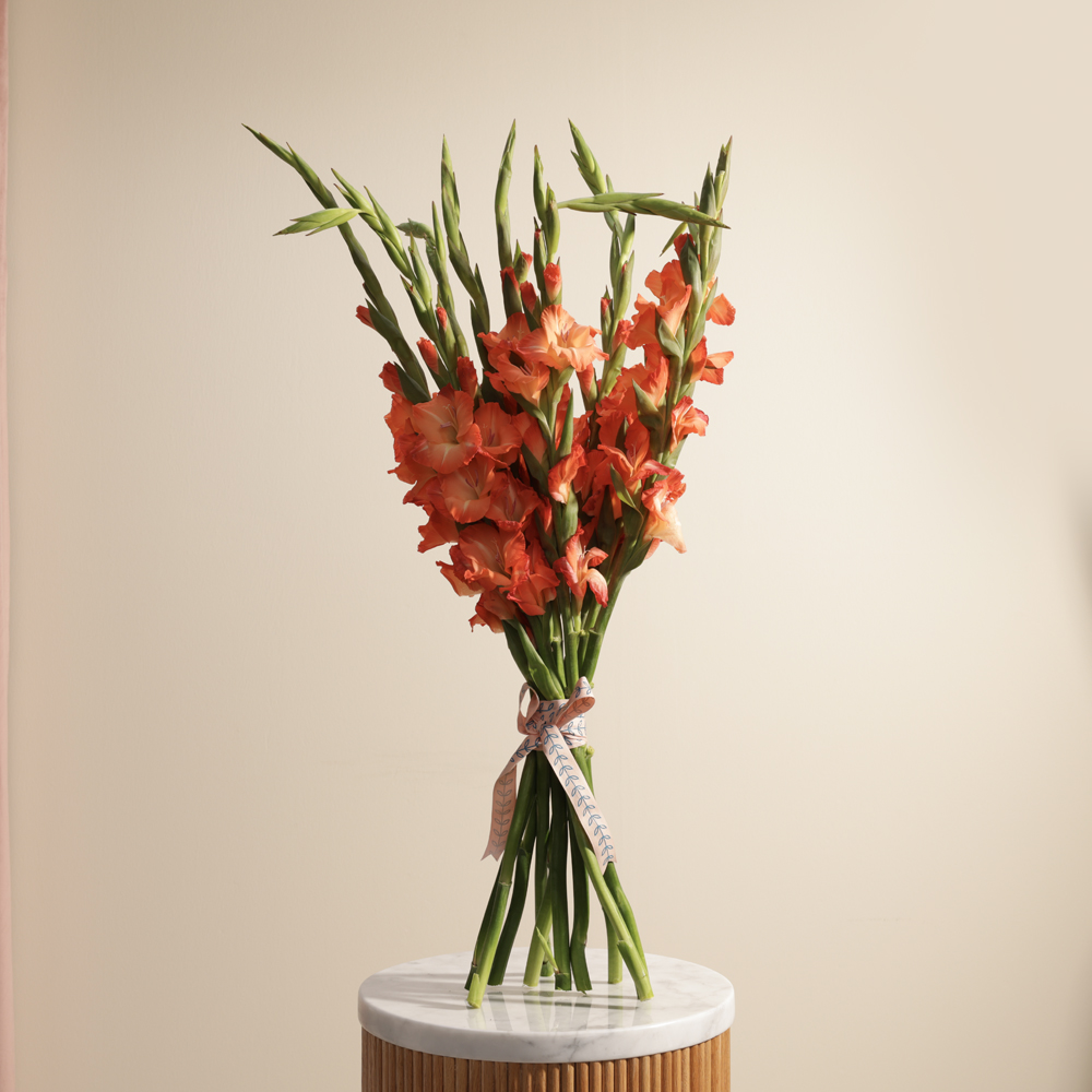 Orange Gladiolus | Flowers Bouquet