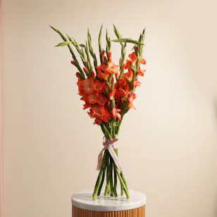 Orange Gladiolus | Flowers Bouquet Orange Gladiolus | Flowers Bouquet