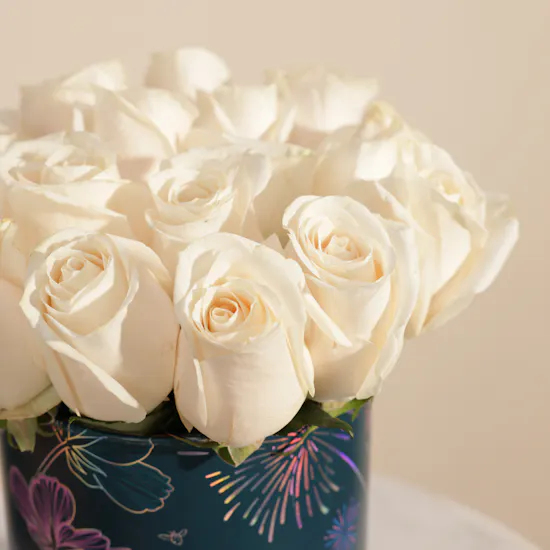 White Wishes Rose Box | 15 Flowers