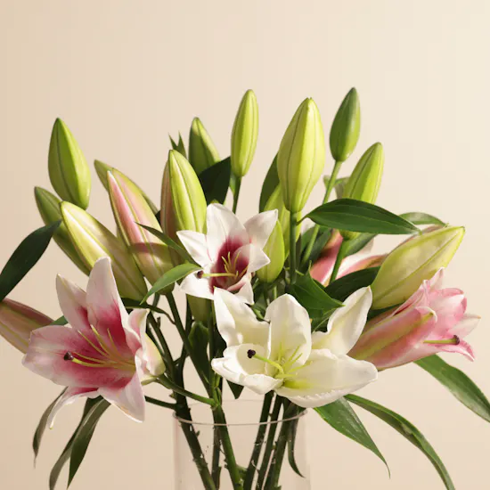 Harmonious Blend Lily Vase | 8 Flowers