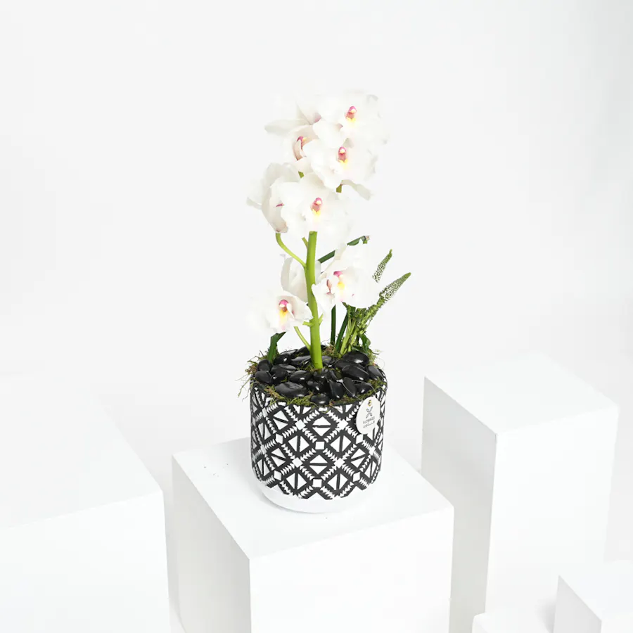Unique Cymbidium | Vase 1