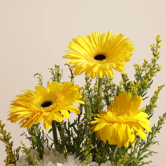 Suavinex Baby Set | Calm Flower Vase