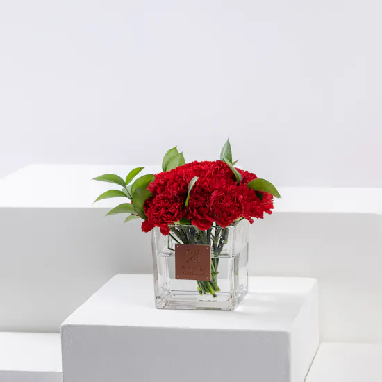 25 Passion Carnations | Square Vase