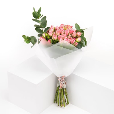 New Beginnings | Pink Roses